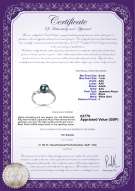 product certificate: UK-AK-B-AAA-67-R-Andrea