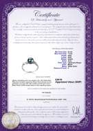 Product certificate: UK-AK-B-AAA-67-R-Andrea