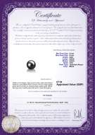 product certificate: UK-AK-B-AAA-89-L1