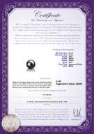 Product certificate: UK-AK-B-AAA-89-L1