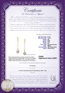 Product certificate: UK-AK-W-AA-67-E-Misha