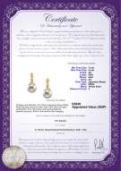 Product certificate: UK-AK-W-AA-78-E-Georgia