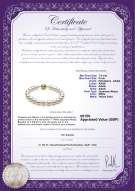 product certificate: UK-AK-W-AAAA-758-B-Hana-7