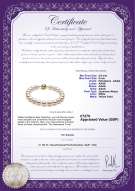 product certificate: UK-AK-W-AAAA-859-B-Hana-7