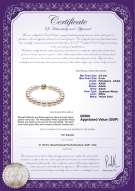 Product certificate: UK-AK-W-AAAA-859-B-Hana-8