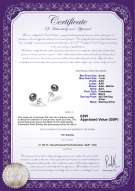 product certificate: UK-B-67-E