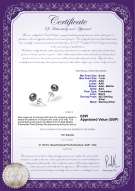 Product certificate: UK-B-67-E