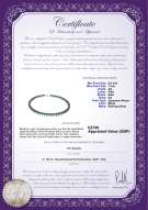 product certificate: UK-B-AA-657-N-Akoy