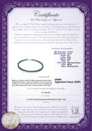 Product certificate: UK-B-AA-758-N-Akoy