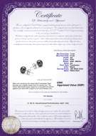 product certificate: UK-B-AA-78-E-SS-14K-WGP
