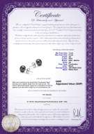 Product certificate: UK-B-AA-78-E-SS-14K-WGP