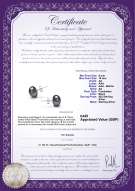 product certificate: UK-B-AA-910-E-SS