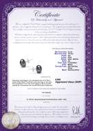 product certificate: UK-B-AA-910-E-SS