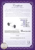 Product certificate: UK-B-AA-910-E-SS