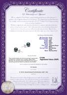 Product certificate: UK-B-AAA-657-E-Akoy