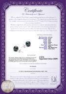 product certificate: UK-B-AAA-859-E-Akoy