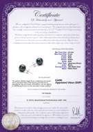 Product certificate: UK-B-AAA-859-E-Akoy