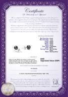product certificate: UK-B-AAAA-67-E