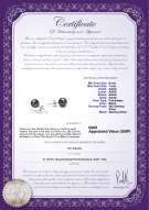 Product certificate: UK-B-AAAA-67-E