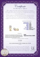 product certificate: UK-CE1W080-18Y