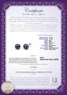 product certificate: UK-FE6BL10F-W