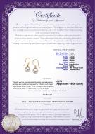product certificate: UK-FH1WH075-Y