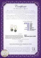product certificate: UK-FH2BG075-Y