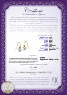 product certificate: UK-FHD1WH085-Y