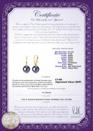 product certificate: UK-FLA2BP085-Y