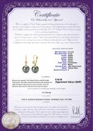 product certificate: UK-FLB2BP085-Y