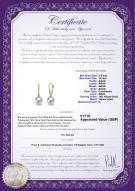 product certificate: UK-FLC1WH095-Y