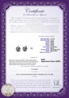 product certificate: UK-FSA2BG075-W