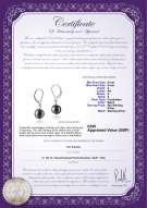 product certificate: UK-FW-B-A-89-E-Kaitlyn