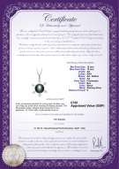 product certificate: UK-FW-B-AA-1213-P-Besty
