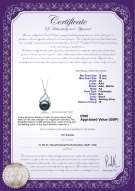 product certificate: UK-FW-B-AA-1213-P-Tracy