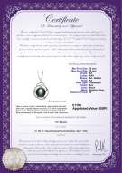 product certificate: UK-FW-B-AA-1213-P-Zina