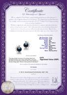 product certificate: UK-FW-B-AA-78-E-Marissa