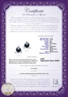 Product certificate: UK-FW-B-AA-78-E-Selene