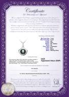 Product certificate: UK-FW-B-AA-78-P-Shell