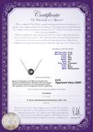 Product certificate: UK-FW-B-AA-89-N-Madison