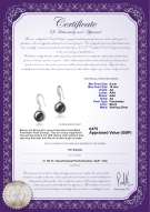 product certificate: UK-FW-B-AA-910-E-Holly