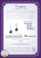 Product certificate: UK-FW-B-AA-910-E-Holly