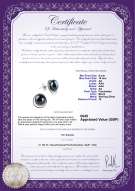 product certificate: UK-FW-B-AA-910-E-Kelly