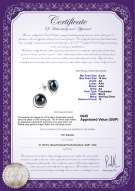 Product certificate: UK-FW-B-AA-910-E-Kelly