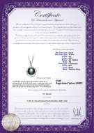 product certificate: UK-FW-B-AA-910-P-Bobbie