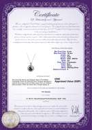 product certificate: UK-FW-B-AA-910-P-Kelly