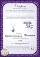 product certificate: UK-FW-B-AA-910-P-Leeza