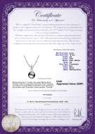 product certificate: UK-FW-B-AA-910-P-Sally