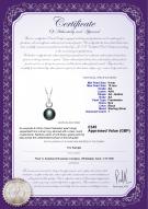 product certificate: UK-FW-B-AA-910-P-Sonia