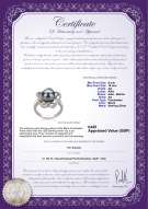 product certificate: UK-FW-B-AA-910-R-Fiona